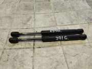 Heckklappe Gasdruckfeder links