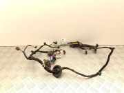 Türverkabelung hinten links SKODA ENYAQ iV SUV (5AC, 5AZ) 50 5LA971693