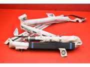 Airbag Dach links Tesla Model S (5YJS) 100526100D