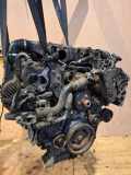 Motor LAND ROVER RANGE ROVER SPORT (L320) 3.6 D 4x4 368DT