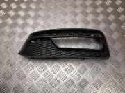 Ziergitter Audi A1 Sportback (8XA) 8XA807681C