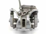 Bremssupport hinten links