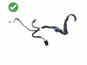 Kabelbaum MERCEDES-BENZ SLK (R171) 200 Kompressor (171.442) 2205453928