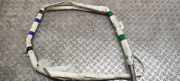 SRS Modul Dach links AUDI Q5 (8R) 2.0 TDI 8R0880741E