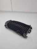 Gitter vorne unten JAGUAR F-PACE (X761) 3.0 D AWD HK8M8B290