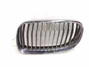 Vorderer oberer Gitter BMW 5 (F10) 520 d 7254971