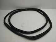 Türgummi rechts vorne BMW i3 (I01)