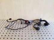 Türverkabelung hinten links AUDI Q7 (4L) 3.0 TDI quattro 4L0971687K