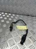Lambdasonde BMW X5 (F15, F85) 7791592