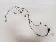 Kabelbaum VW Passat B6 (3C2) 3C8971104C