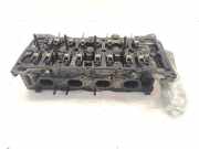 Motorkopf FIAT BRAVO II (198_) 1.9 D Multijet 55206424