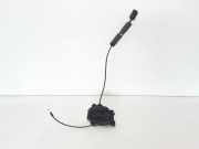 Verriegelung Tür rechts RENAULT SCÉNIC III (JZ0/1_) 1.5 dCi (JM1E) 825020033R