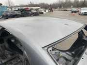 Dach mit Sonnendachausschnitt Audi A4 (8W, B9)