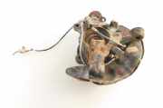 Achsschenkel (ABS) links vorne Toyota Corolla Kombi (E12)
