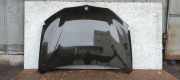 Motorhaube BMW X1 (F48) 6995664
