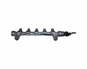 Einspritzleiste Hyundai iX35 (LM) 0445214181