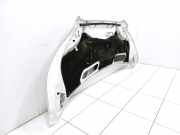 Motorhaube Ford Transit V363 Kasten (FCD, FDD)