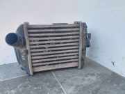 Ladeluftkühler Audi A4 (8E, B7) 0281002399