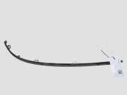 Front Bumper Center Moulding JAGUAR S-TYPE (X200) 2.7 D 4R8317B970BB