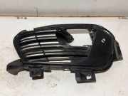 Gitter vorne unten PEUGEOT 308 SW II 1.2 THP 130 AA38255582