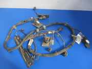 Klopfsensor Renault Kadjar (HA, HL) 284384061R
