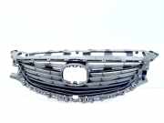 Vorderer oberer Gitter