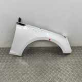 Kotflügel vorne rechts AUDI A5 (F53) 2.0 TFSI 8W6821106B