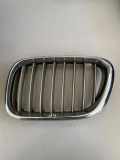 Vorderer oberer Gitter BMW X5 (E53) 4.6 is 51138247673