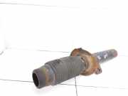 Stoßdämpfer vorne links PEUGEOT 406 (8B) 1.9 TD