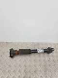 Stoßdämpfer hinten links MERCEDES-BENZ M (W166) ML 300 4-matic (166.055) A1663261500