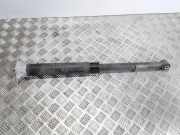 Stoßdämpfer hinten links