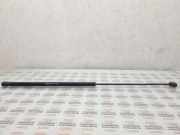 Gasfeder für Motorhaube VW Passat B5 (3B2) 8D0823359