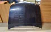 Motorhaube RENAULT VEL SATIS (BJ0_) 2.2 dCi (BJ0E, BJ0F)