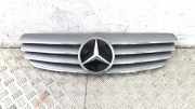 Vorderer oberer Gitter MERCEDES-BENZ CLK (C209) 320 (209.365) A2098800383