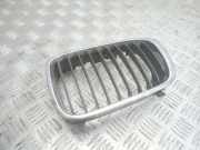 Kühlergrill oben BMW 3er (E46) 8195055