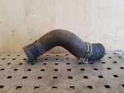 Schlauch Kühlung TOYOTA RAV 4 III (_A3_) 2.2 D 4WD (ALA30_)