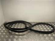 Türgummi links vorne BMW 1er Coupe (E82)