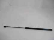 Heckklappendämpfer rechts Ford Focus III (DYB) 5085970385N