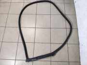 Türgummi rechts vorne BMW 5er Gran Turismo (F07) 7196350