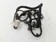 Kabelbaum Hinteren Parksensoren CHEVROLET TRAX 1.7 TD AWD 30270598 688328731