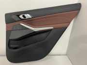 Türverkleidung rechts hinten BMW X7 (G07) 5A62008