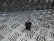 Xenon-Lampe BMW 7 (E65, E66, E67) 730 d