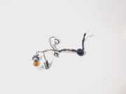 Glühlampe Xenon Citroen C1 II ()