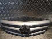 Gitter MERCEDES-BENZ B (W245) B 200 CDI (245.208) A1698800883 1698800883