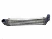 Ladeluftkühler Renault Grand Scenic III (JZ) W9237001