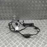 Türverkabelung hinten links BMW X6(G06) xDrive 30 d 5A5B6E1