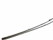 Dachreling links Ford Galaxy (CK)