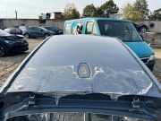 Dach BMW iX1 (U11 BEV) xDrive 30