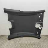 Dachverkleidung BMW 6 Coupe (F13) 640 d 8051020