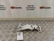 Türscharnier hinten links Ford Transit Custom V362 Kasten (FY, FZ)